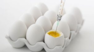 vacinas e alergia a ovo