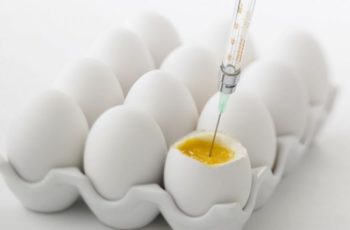 Saiba mais sobre vacinas e alergia a ovo