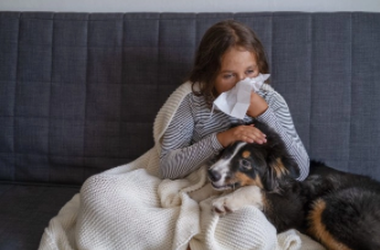 Alergia a animais de estimação: o que fazer?