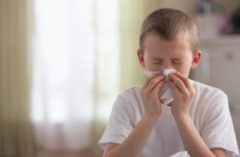 Tudo que você precisa saber sobre alergia a ácaros
