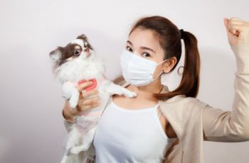 Controle ambiental: alergia a animais de estimação